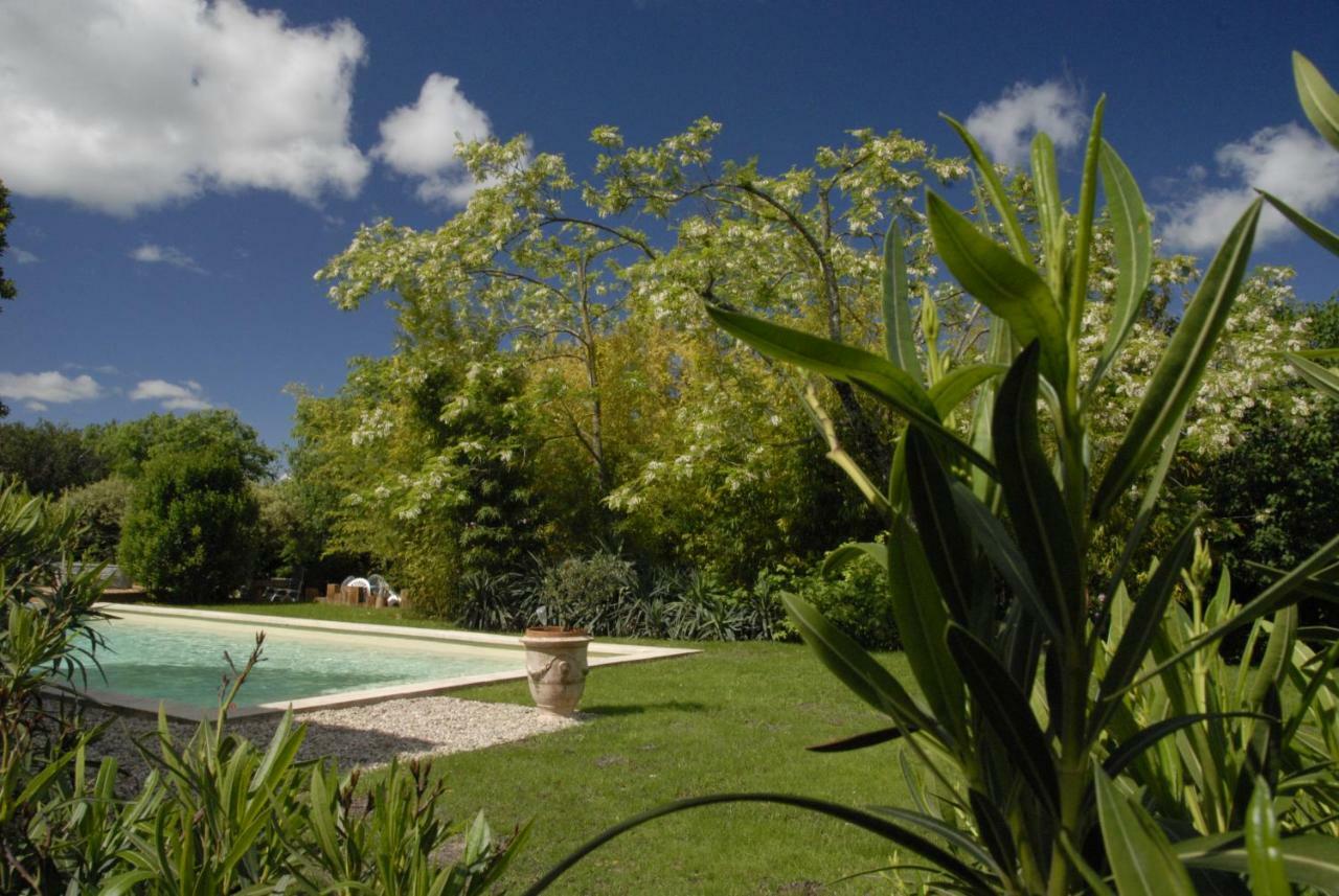 Le Coing Des Vignes Bed & Breakfast Mauressargues Ngoại thất bức ảnh
