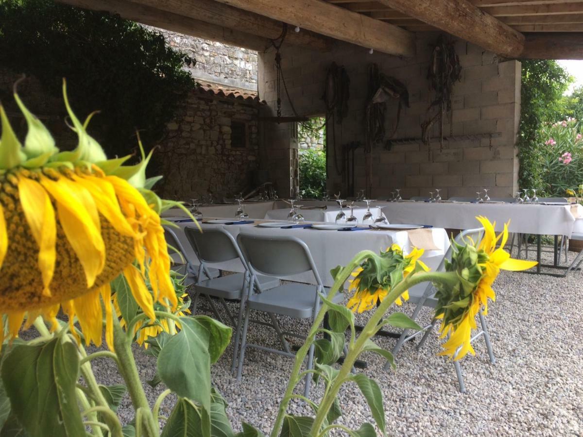 Le Coing Des Vignes Bed & Breakfast Mauressargues Ngoại thất bức ảnh